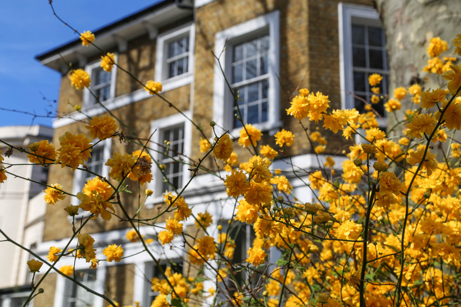 Kevät alkaa Notting Hillin värikylvystä