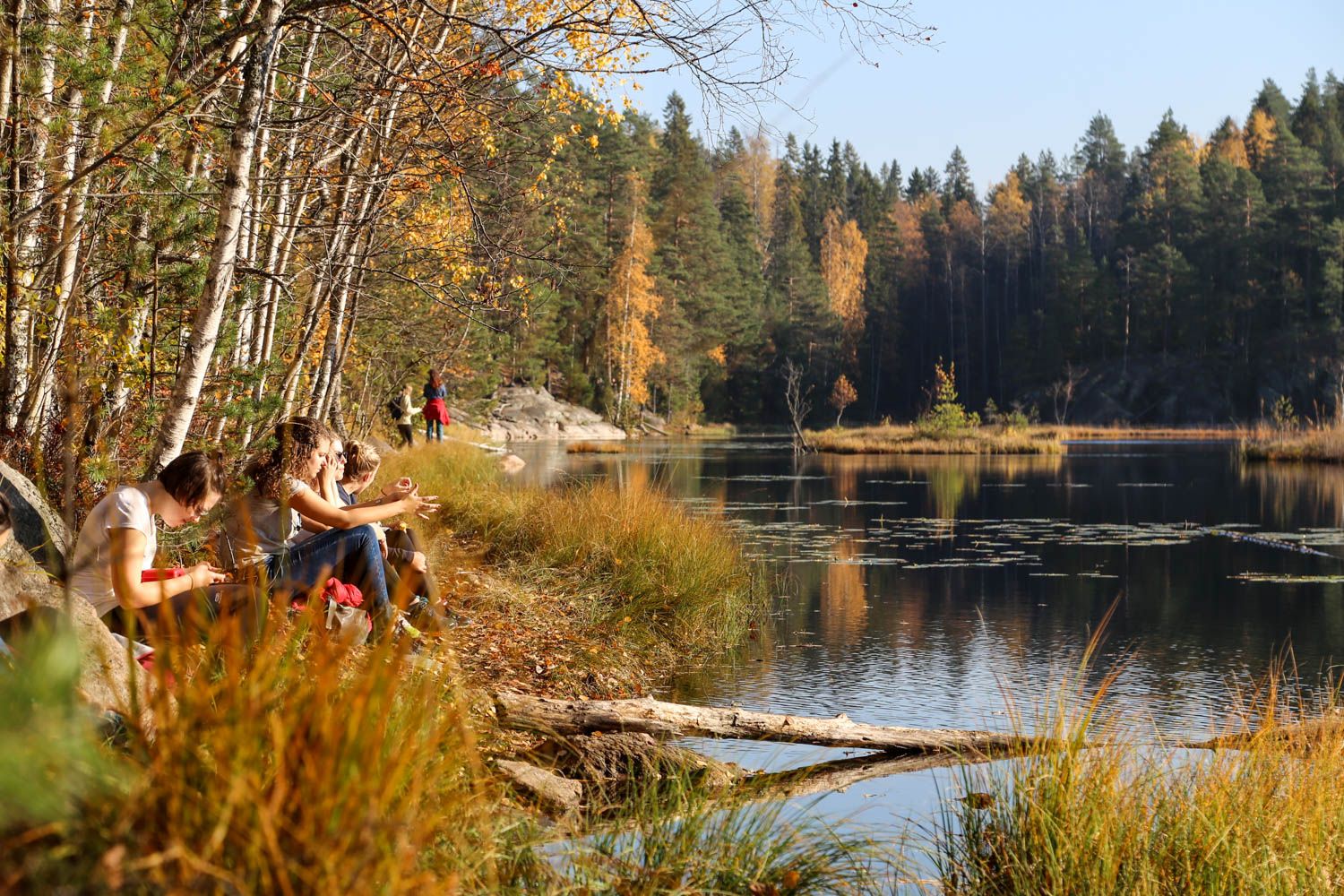 Kun metsään piti jonottaa